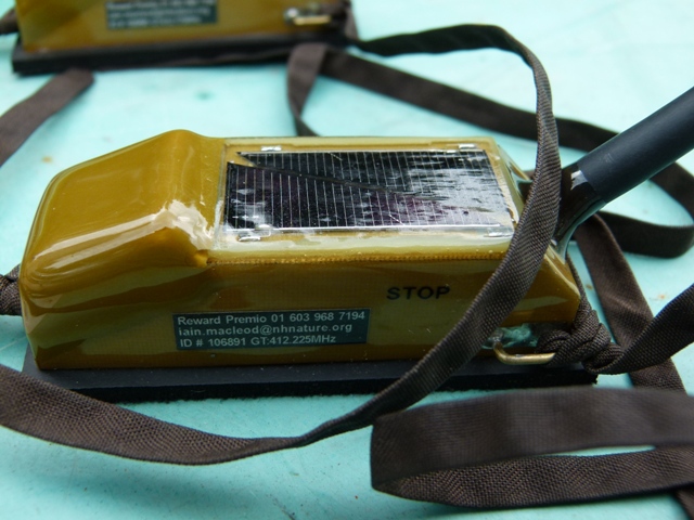 Satellite Transmitter